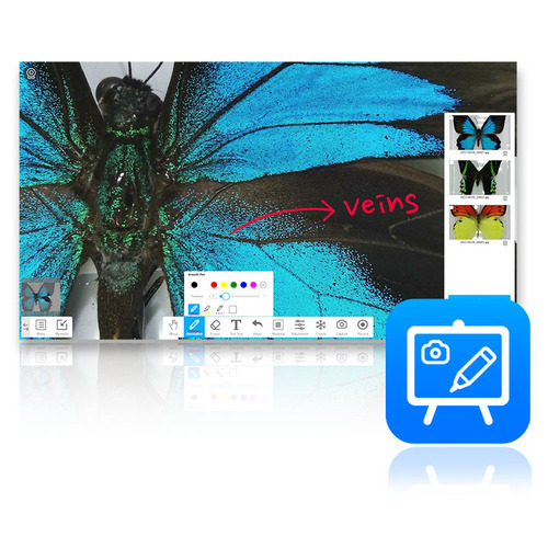 ViiBoard